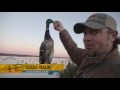 2016 Season Preview 2016 Season Preview