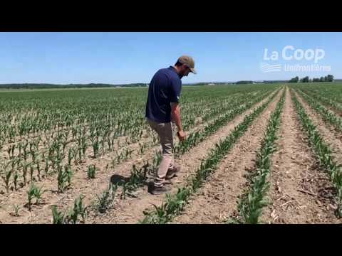 Ferme intelligente - La Coop Unifrontières