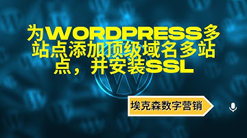 5.如何为WordPress多站点添加顶级域名并安装SSL证书设置指南-埃克森数字营销