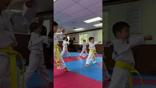 Little Kids Attending Taekwondo Training -  1502337