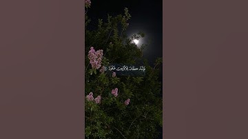 آيات من سورة الإسراء بصوت الشيخ ماهر المعيقلي || #اكسبلور #قرآن