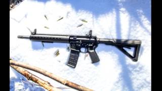 BoomstickBallistics 223Carbine Abuse Test Clips
