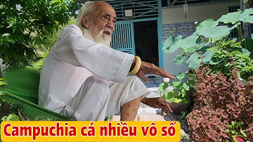 Thầy Rắn Ông Tư Đền Kể Chuyện Cuộc Bắt Cá Cặp Ranh Giới Campuchia Và Cuộc Tấn Công Biên Giới 