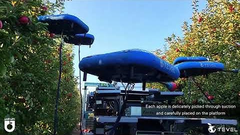 Unifrutti & Tevel Partner To Bring Autonomous Harvesting to Chile