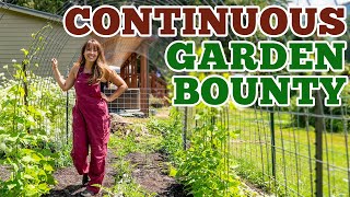 How We Double the Garden Harvest  (SUCCESSION Planting &amp; Intercropping)