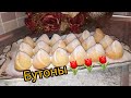 Сочные бутоны/ Мугчаи гули Садбарг/Rosebud