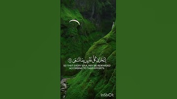 القران الكريم الراحة النفسية #المصحف #إسلام_صبحي #لايك #اكسبلور