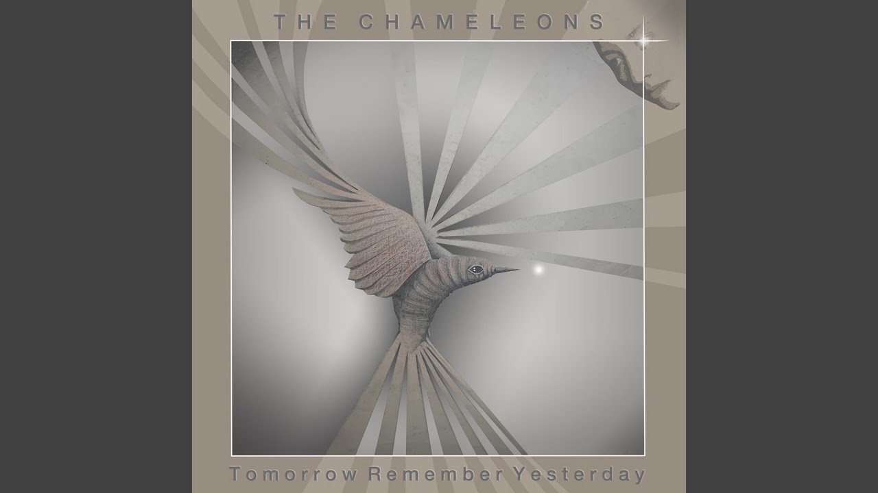 The Fan & the Bellows - YouTube