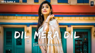 Dil Mera Dil (Slowed   Reverb) | Heart Touching Lofi Song | Sad Vibes Lofi Mix 2025