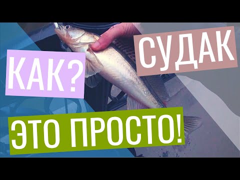 КАК Поймать СУДАКА Весной? / ДЖИГ Против ВОБЛЕРА / ПОДВОДНАЯ Съемка в Москве