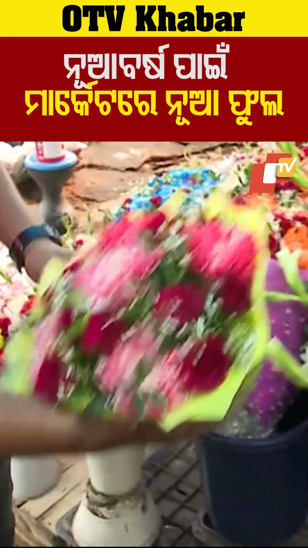ନୂଆବର୍ଷ ପାଇଁ ମାର୍କେଟରେ ନୂଆ ଫୁଲ। ନବ ବର୍ଷ ଉପଲକ୍ଷେ ବଜାରରେ ଫୁଲ ବ୍ୟବସାୟ ଜୋର ଧରିଛି । #OTV #OdishaTv