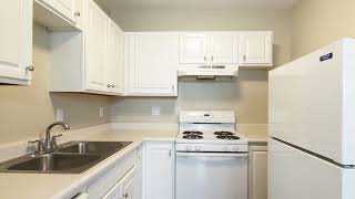 Japanese Small Kitchen Design Ideas: Minimalist & Space-Saving Solutions