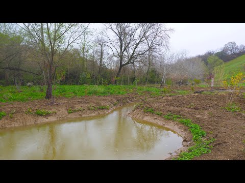 Система удержания воды на участке. Лесосад с нуля. Ручей. Проточный пруд.