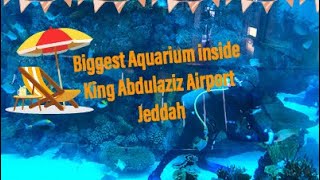 Biggest aquarium inside airport || New Jeddah Airport || king abdulaziz Airport