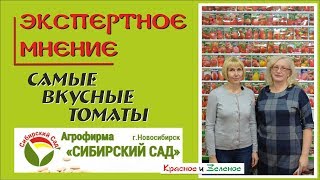 Томаты от "Сибирского сада". Самые ВКУСНЫЕ сорта.