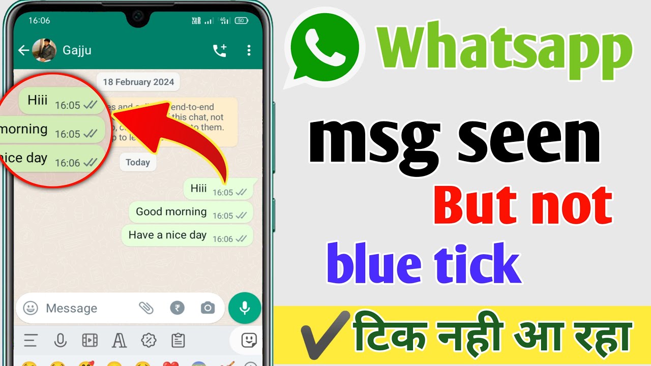 WhatsApp Message Seen But No Blue Ticks Problem How To Read WhatsApp