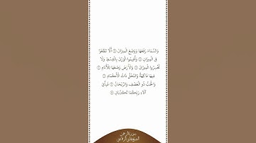 تلاوة في دقيقة | سورة الرحمن | الآيات من ٧ إلى ١٣ | الشيخ هاني الرفاعي