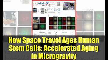 How Space Travel Ages Human Stem Cells: Accelerated Aging in Microgravity