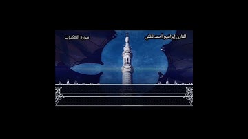 مَثَلُ الَّذِينَ اتَّخَذُوا مِن دُونِ اللَّهِ أَوْلِيَاءَ كَمَثَلِ الْعَنكَبُوتِ ✨(تلاوة خيالية)