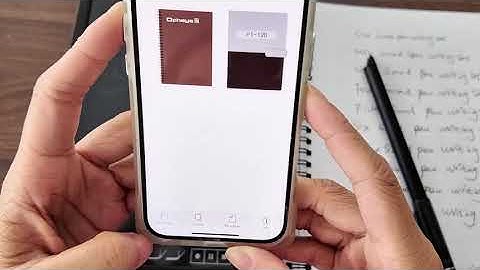 📱 Using the Ophaya Pro+ App – Full Guide