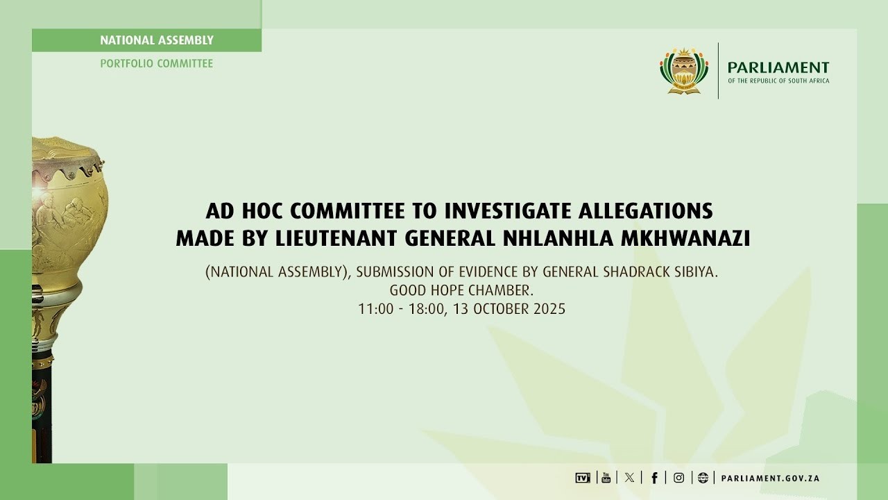 🔴 LIVE: General Phahlane Appears Before The Ad Hoc Committee