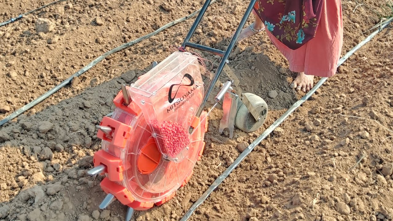 Manual push seeder tho mokkajonna natukunnam #maize #seeder #farming 