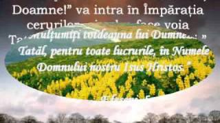 Video thumbnail of "daniel bambo & daniel dinescu - asculta doamne strigatele mele"