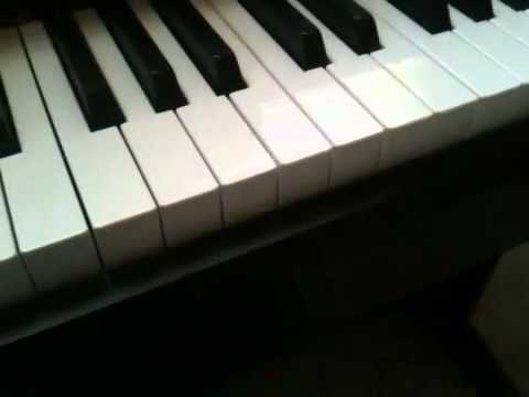 Williams overture 88 key digital piano review