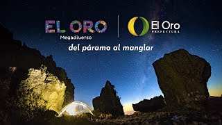 Documental | El Oro Megadiverso, de páramo al manglar