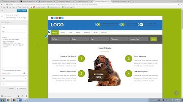 How to Customize Header Right Side Widget Area