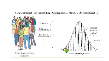 7.2 Sampling Distribution of a Sample Proportion