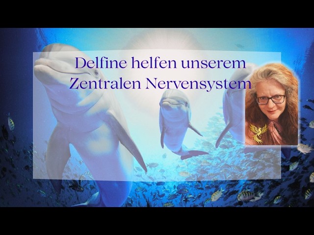 Deine #nerven  liegen blank?#heilmeditation #sternenmedizin #drachenfrau #144 #888 #999