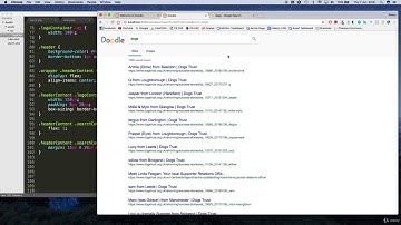 Make a Google search engine clone JavaScript PHP and MySQL : // Styling the search bar itself