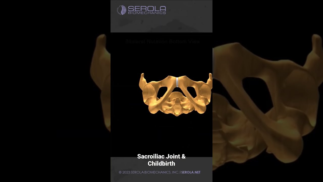 Sacroiliac Joint Movement During Childbirth #sacroiliacjoint #sijoint #postpartum #pregnancy #baby