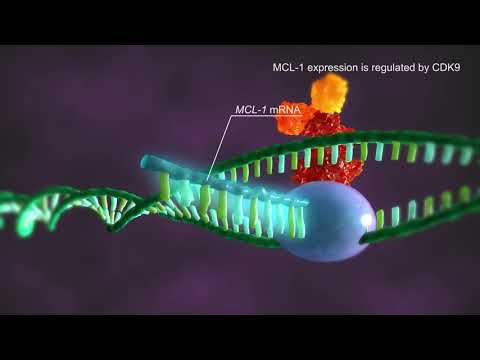 Video: Genipiin Indutseerib Maovähi Korral Stat3 / Mcl-1 Raja Alandamise Kaudu Mitokondrite Talitlushäireid Ja Apoptoosi