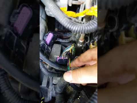 2002 Buick Rendezvous Fuel Pump Wiring Harness - Shjones Ohmsjones