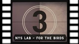 For the Birds: Engineering Safer Skies (NYS Lab Intro)