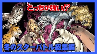 【どっちが強い総集編】冬のスター動物バトル特集「オオカミvsハイエナ」や「ゾウアザラシvsホッキョクグマ」冬の動物たちによるガチンコバトル4選【漫画】