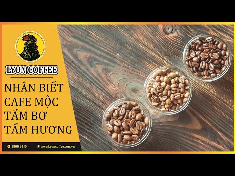 Video Nhận biết cafe sạch rang mộc, tẩm bơ và tẩm hương - youtube