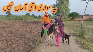 Double Donkey Riding | Pure Mud House Girls Vlog