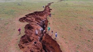 видео Как птицы предсказывают погоду : Геология