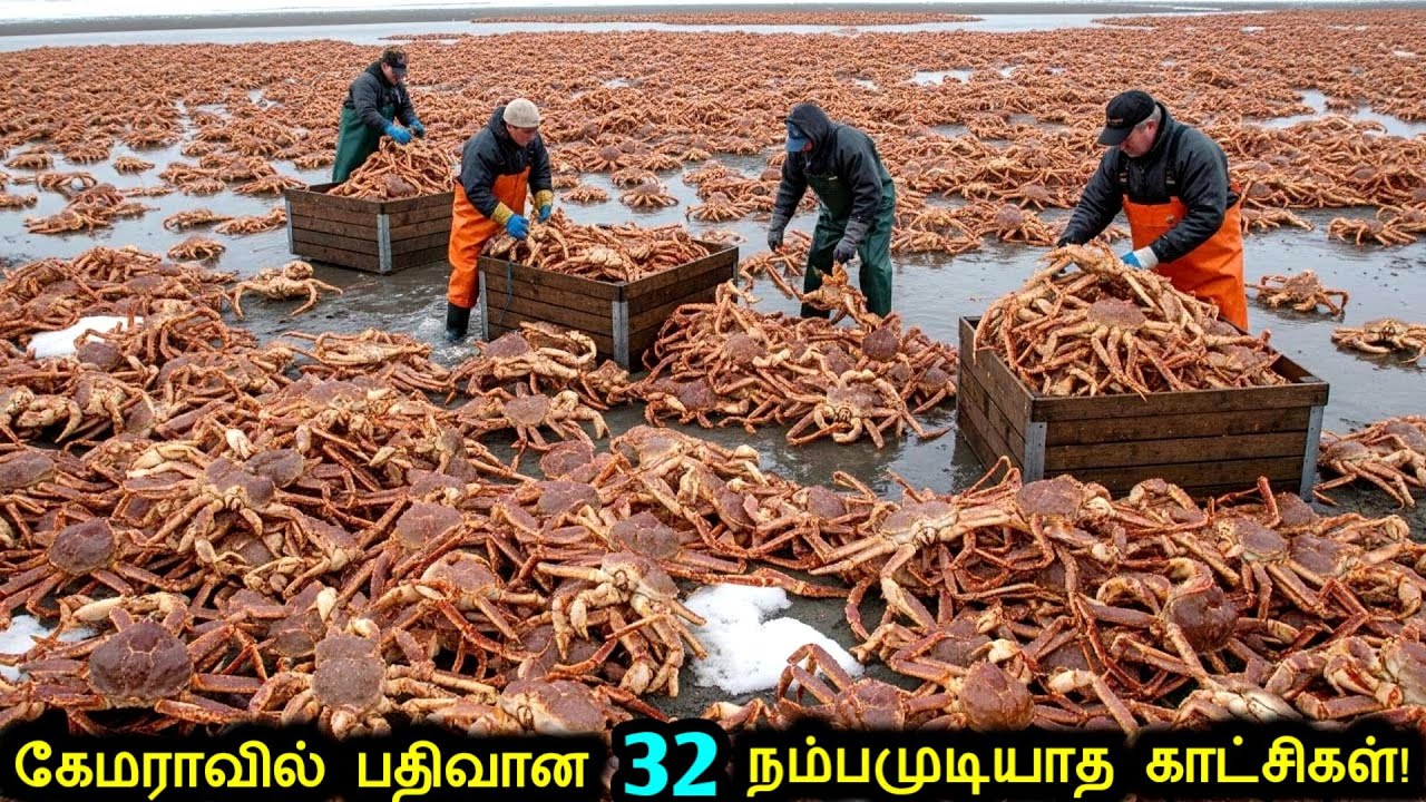 கேமராவில் பதிவான 32 நம்பமுடியாத காட்சிகள்! | Unbelievable Moments Caught On Camera | New Ultimate