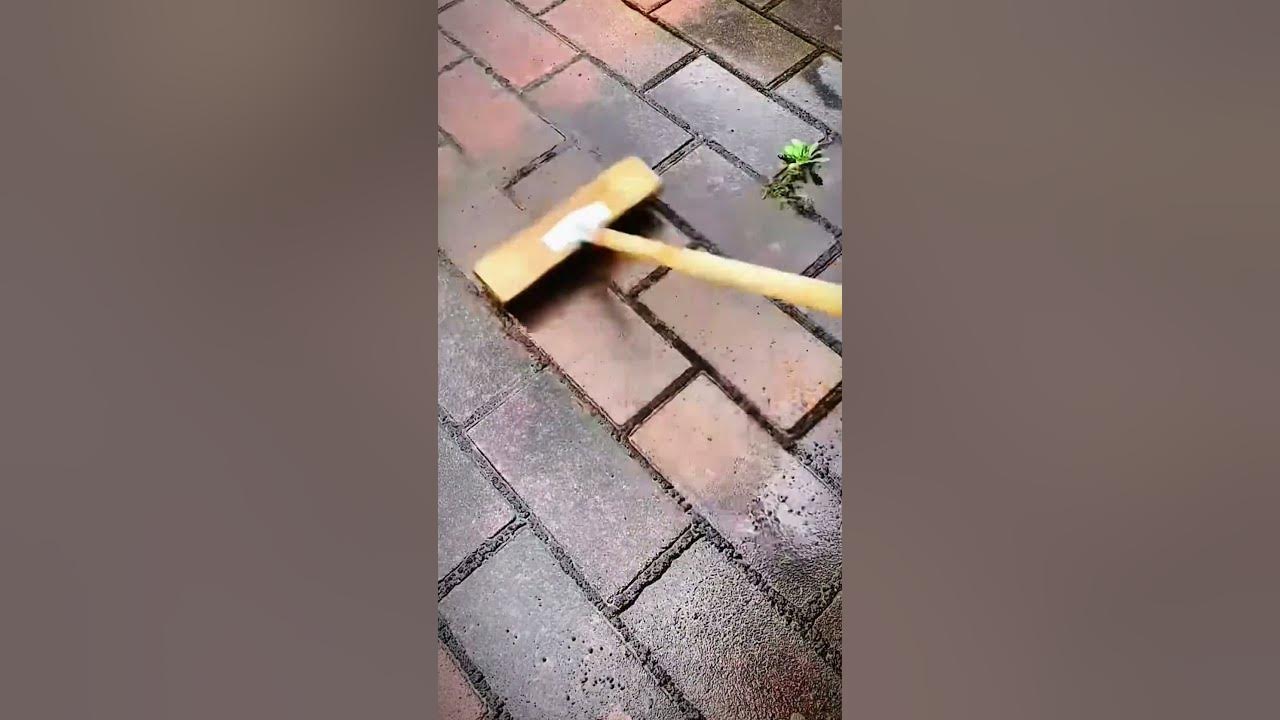 Iron brush for cleaning mossy floors #shorts YouTube Iron brush for cleaning mossy floors #shorts YouTube