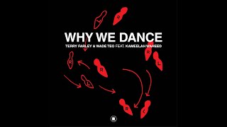 Terry Farley & Wade Teo feat. Kameelah Waheed - Why We Dance (Lonely Dancer Remix) Resimi