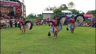 Perang Celeng #PUTR DEWO KRESNO live lapangan desa kwaron Papar kediri