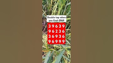 Double tap when you find-3969 #shorts #puzzle #maths