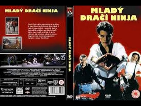 Harika Cocuk   Magic Kid 1993 DVDRip Türkçe Dublaj