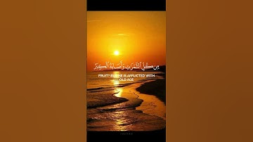 ﴿فَأَصَابَهَا إِعْصَارٌ فِيهِ نَارٌ فَاحْتَرَقَتْ ۗ ﴾.||سورة البقرة||القارئ محمد اللحيدان||