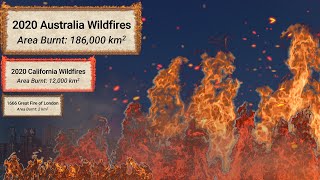 Wildfire Size Comparison