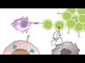 Hmx immunology  course preview